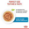 Royal Canin Medium Puppy (Wet Food - Pouches) 140 G