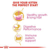Royal Canin Feline Persian Kitten 2 Kg
