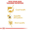 Royal Canin Yorkshire Adult Dog (Wet Food - Pouches) 85 G