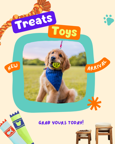 Treats and Toys