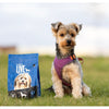 Probiotic Live Dry Food with Turkey for Mini Breed Adult Dogs