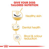 Royal Canin Shih Tzu Adult Dog Dry Food 1.5 Kg