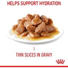 Royal Canin Feline Digest Sensitive Gravy Wet Food Pouches 85 G