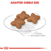 Royal Canin Mini Adult Dog Dry Food 8 Kg