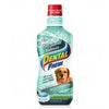 Synergy Labs Dental Fresh Mouth Wash Water Additive For Pets 4Oz
