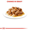 Royal Canin Mini Adult Dog (Wet Food - Pouches) 85 G