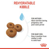 Royal Canin Maxi Starter 4 Kg