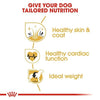 Royal Canin Golden Retriever Adult 12kg
