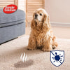 Simple Solution Dog Stain And Odour Remover Spring Breeze â€“ 750 Ml
