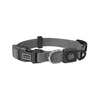 Doco Xs Gray Nylon Dog Collar (21-30X1Cm)