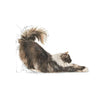 Royal Canin Feline Indoor Long Hair 2 Kg