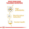 Royal Canin Chihuahua Adult Dog Food - 1.5kg