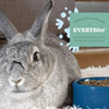Oxbow Essentials Pellet Food For Adult Rabbits 2.25 Kg