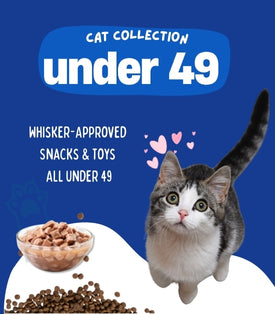 Kitty Bundles Under 49
