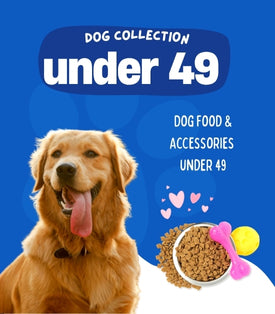 Dog Bundles Under 49