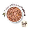 Lily's Kitchen Dog Carnival Chicken Wet Food - 400G