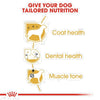 Royal Canin Poodle Adult Dog Dry Food 1.5 Kg