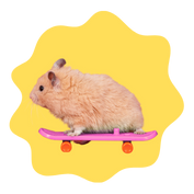 Hamsters