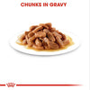 Royal Canin Feline Kitten Gravy Wet Food And Pouches 85 G