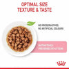 Royal Canin Feline Kitten Jelly Wet Food And Pouches 85 G