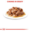 Royal Canin Feline Hairball Gravy (Wet Food - Pouches) 85 G