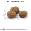 Royal Canin Feline Regular Sterilised 2 Kg