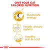 Royal Canin Feline British Shorthair, Wet Food And Pouches 85 G