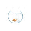 Clear Glass Fish Bowl (25X19Cm) 1 Pcs