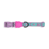 Zee.Dog Aura Collar Medium