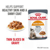 Royal Canin Feline Intense Beauty Gravy, Wet Food And Pouches 85 G